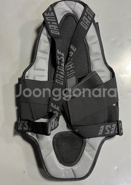 다이네즈 폭스 울프 레플리카 숏츠 및 가드 원가에 던집...--9