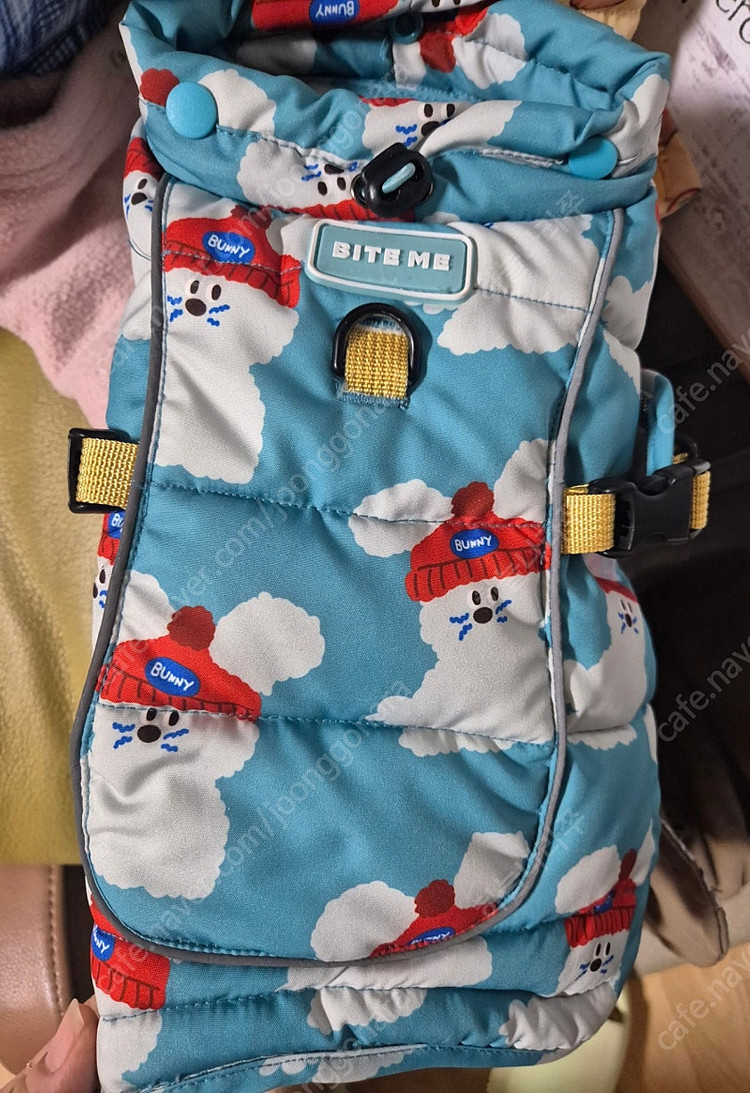 강아지 패딩, 바잇미 패딩 s--0