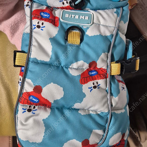 강아지 패딩, 바잇미 패딩 s