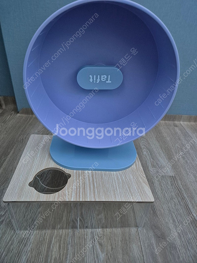 햄스터 (타핏)쳇바퀴 (부캣)아크릴 미로룸--7