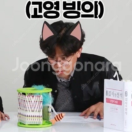 미야옹철추천)펫긱 원더팟 고양이 자동장난감 분리불안 강...--2