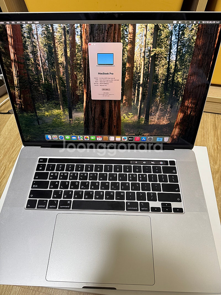 맥북프로2019 16인치 I9 16GB 1TB 급처--0