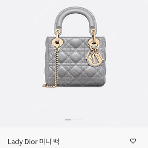 레이디디올 미니백