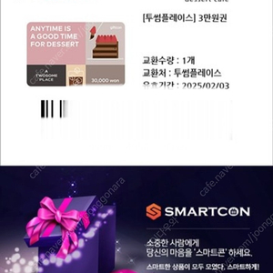 투썸플레이스 3만원권 -> 27000원