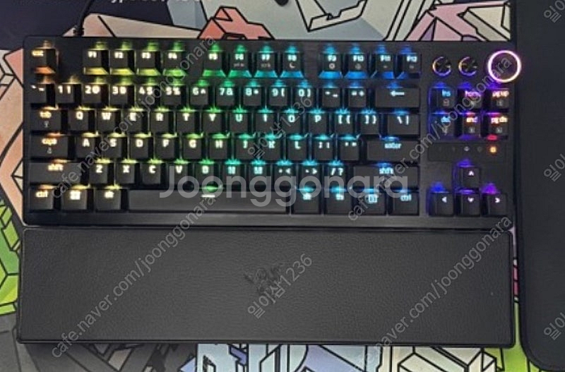 레이저 헌츠맨 v3 pro tkl--0