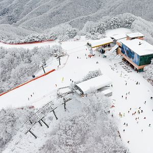 [스키장특가] 홍천비발디/모나용평/무주리조트 가실 분~