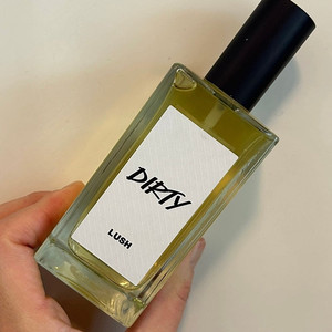 러쉬 더티 100ml(새상품)