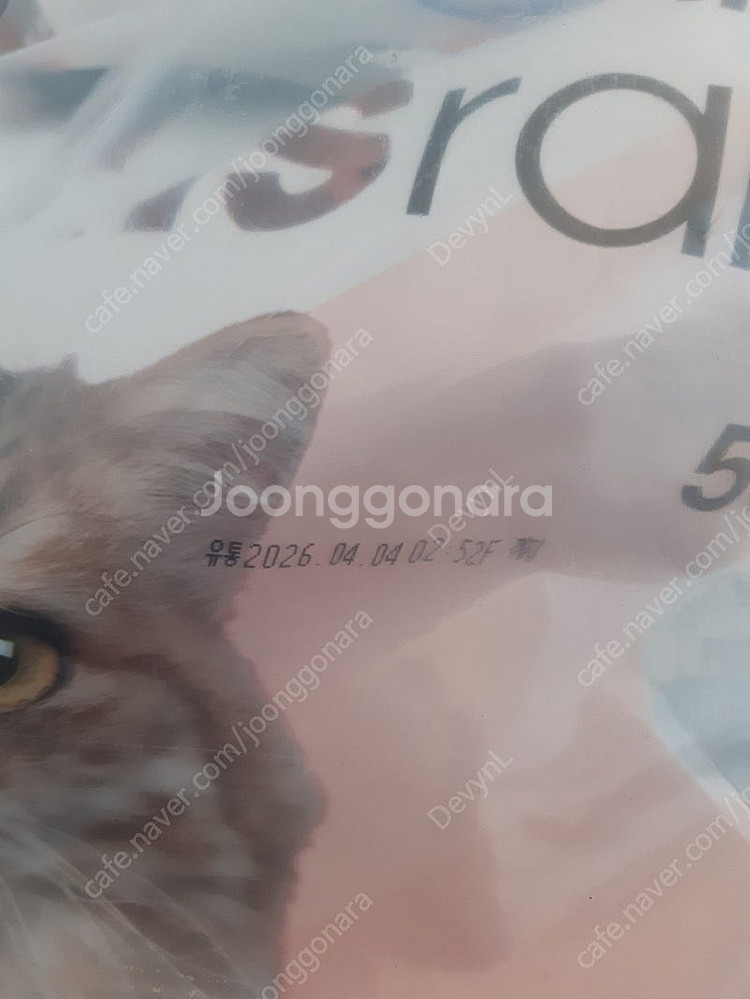 캣츠랑 5KG 2포대 배송비 포함--1