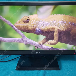 LG D2770P (27인치 모니터)