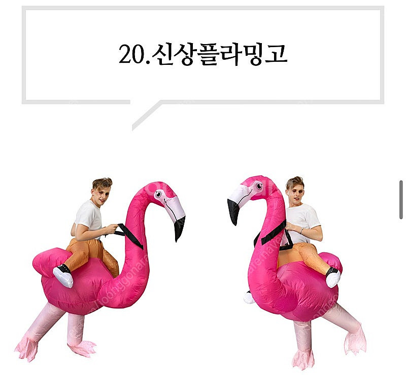 어린이날 코스프레 의상 공룡+플라밍고--0