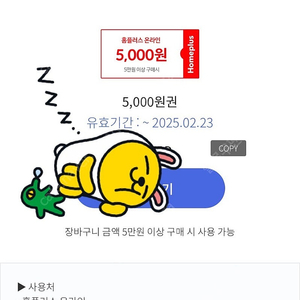 홈플러스 온라인 5000 (5만원이상장바구니)