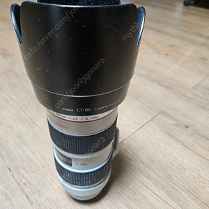 캐논 EF 70-200mm F2.8 L IS USM 아빠백통