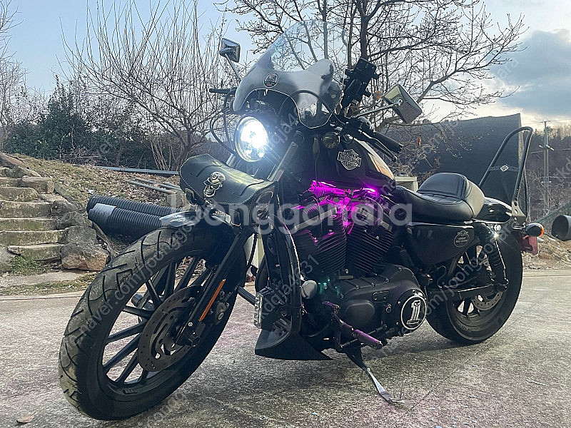 할리데이비슨 아이언883 2012년식 72,519km--4