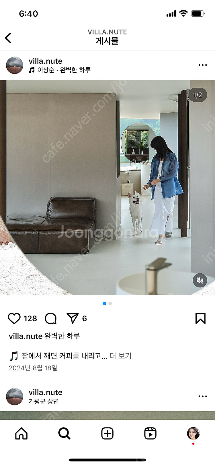 애견동반숙소 빌라누트 가평--2