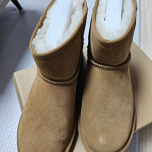 UGG 클래식 미니 숏 부츠 양털 사이즈 10L 250~255사이즈