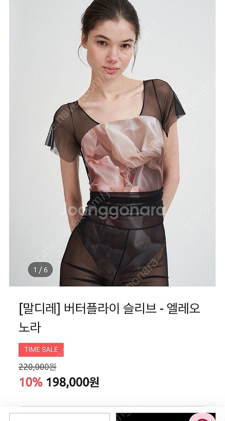 말디레 버터플라이 S사이즈--0