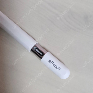 애플펜슬 USB-C C타입