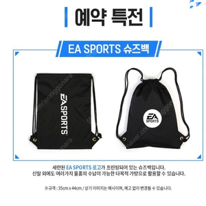 EA SPORTS 슈즈백