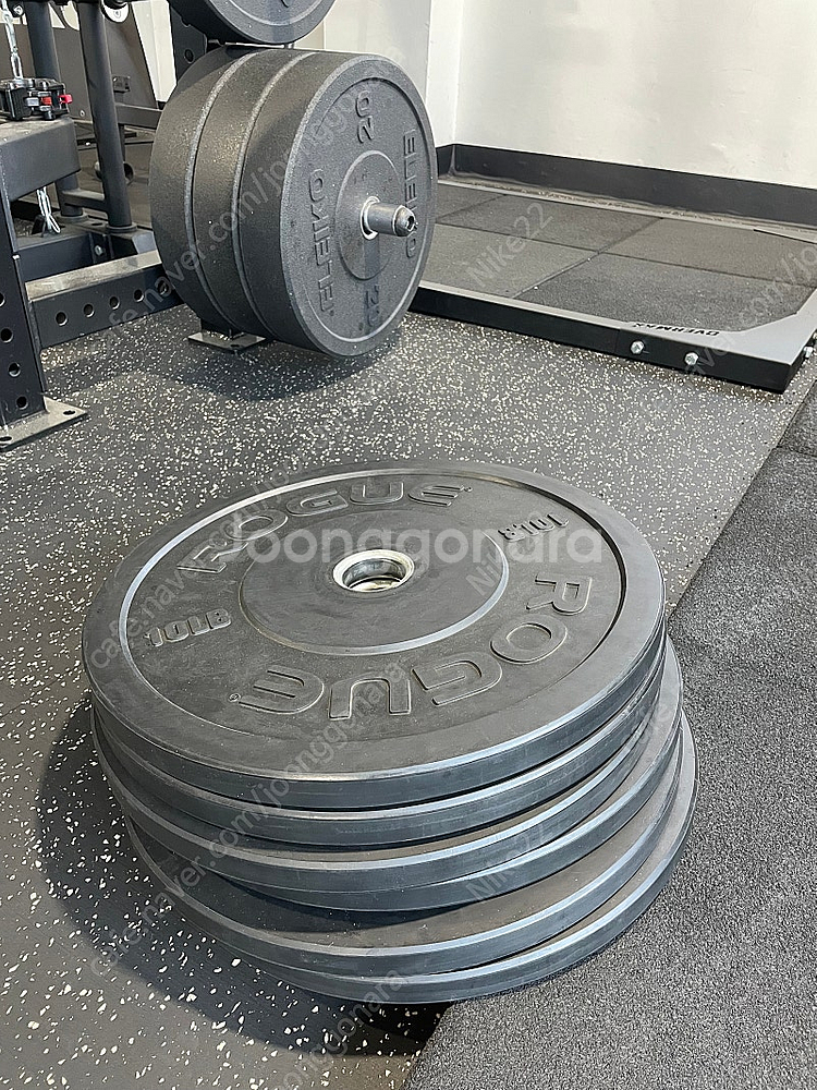 로그 원판 10lb 6개--0