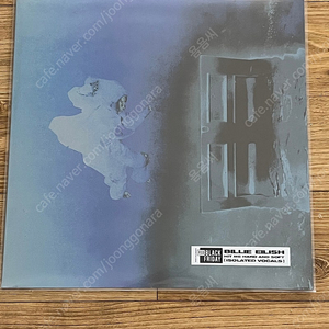 빌리아일리시 Hit Me Hard And Soft RSD 미개봉 LP