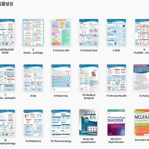 Nclex 엔클렉스 자료( 심플널싱pdf, 사운더스, 문제집2권, 유월드 정리 = 오천원)