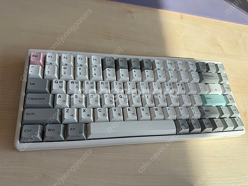 COX 유무선 무접점 미니키보드 CNK84W PBT 팝...--0
