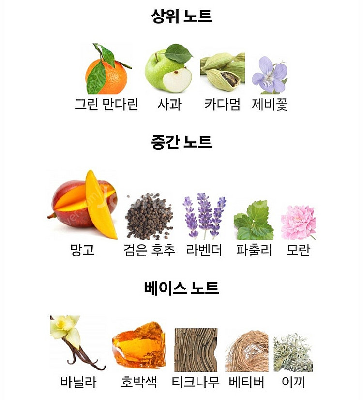 스위스 향수 기사다 앰베서더맨 100ml--3