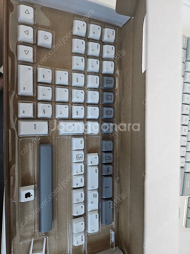 애플 키캡 팜니다--1