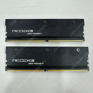 ESSENCORE KLEVV DDR5-5600 CL46 (16GB) 두개 방열판 포함