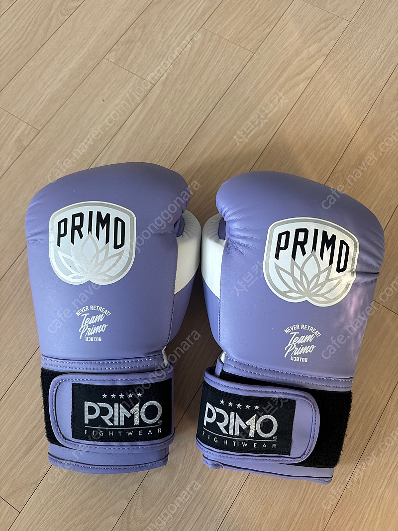 프리모글러브 16온즈 팝니다 , Primo 16oz , 복싱글러브