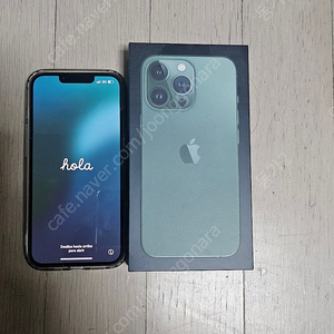 Apple iPhone 13 Pro 1TB 알파인 그린