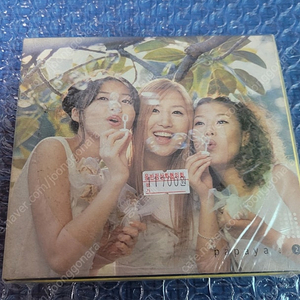 파파야 2집 미개봉 CD