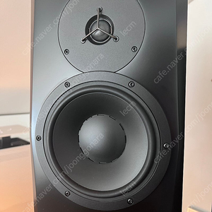 Dynaudio LYD8(블랙)팝니다