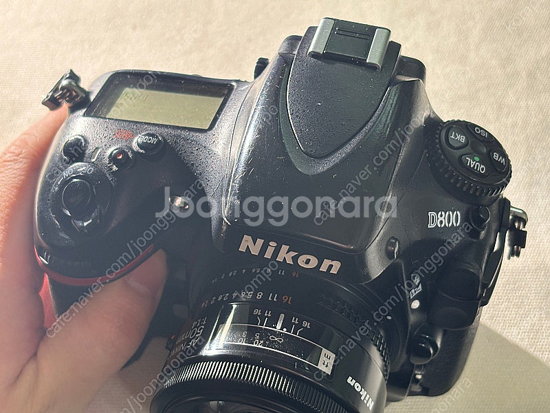 니콘 D800 50.4nond--1
