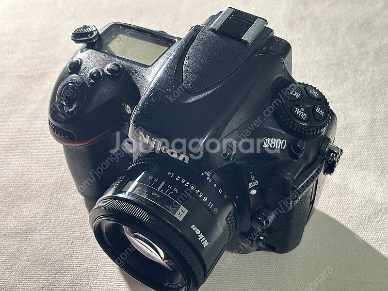 니콘 D800 50.4nond--4
