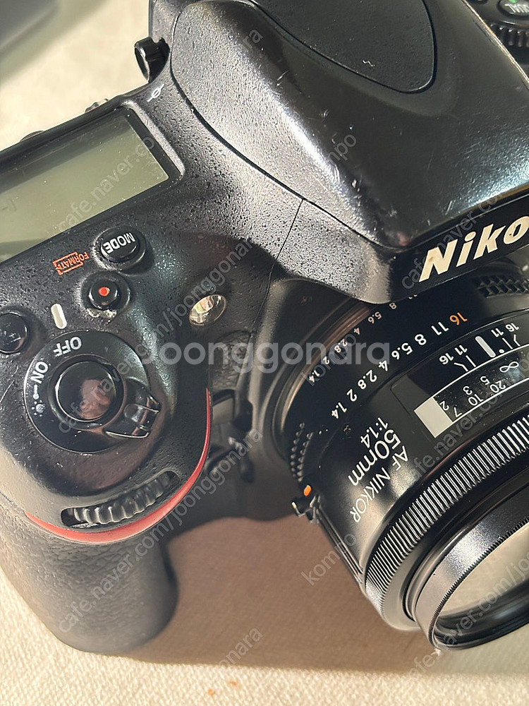 니콘 D800 50.4nond--7