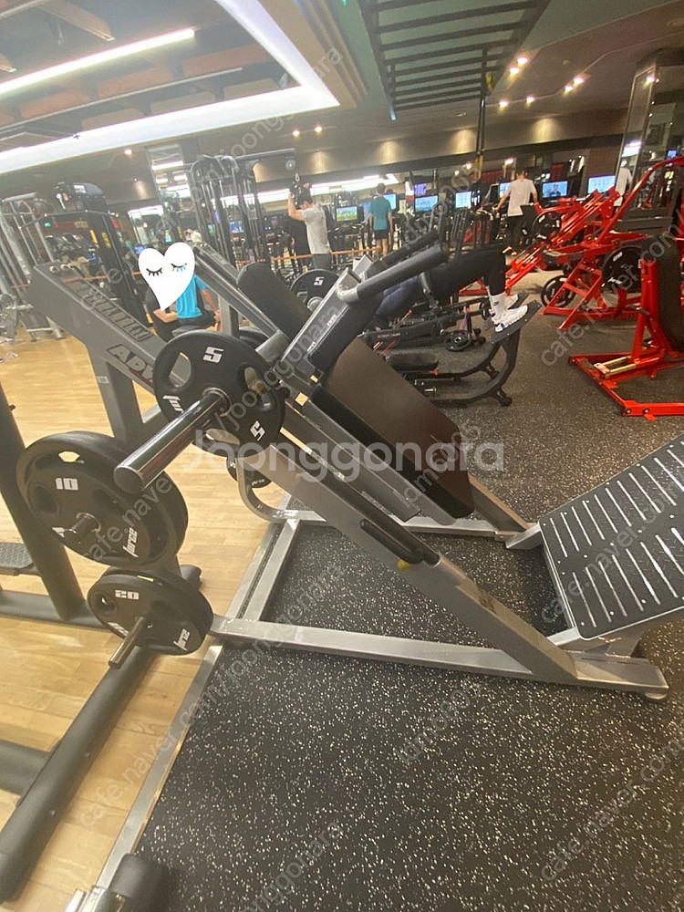 KAESUN 파워레그프레스, 뉴텍 핵스쿼트 기구 판매합...--0