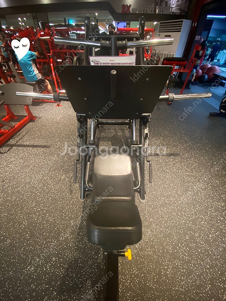 KAESUN 파워레그프레스, 뉴텍 핵스쿼트 기구 판매합...--3