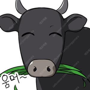 5090 구해봅니다