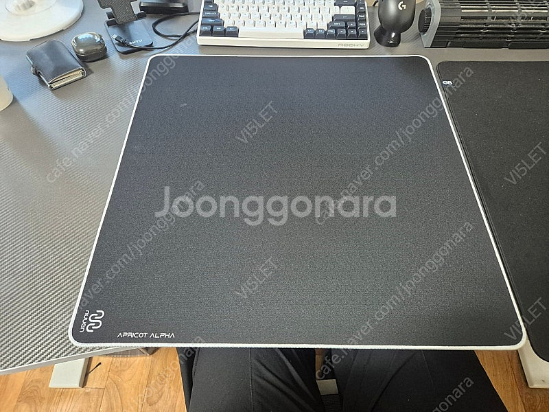 NUUEN Apricot Alpha 누엔 매화 하이브리...--0