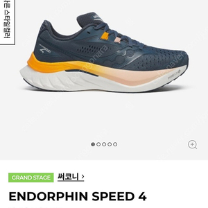 써코니 엔돌핀 스피드 4 245 (ENDORPHIN SPEED 4)