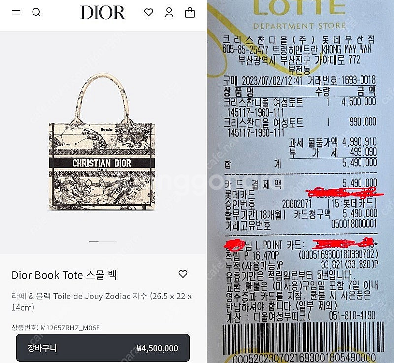 디올 조디악 북도트 스몰 팔아요--8