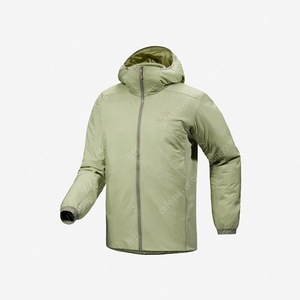 아크테릭스 아톰 후디 Arc'teryx Men's Atom Hoody Chloris (S)