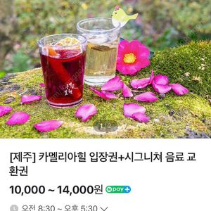 카멜리아힐 성인2명 + 시그니처음료