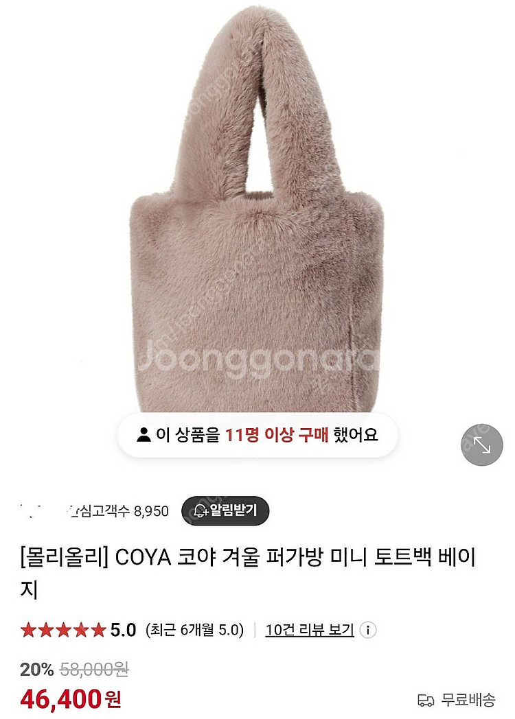몰리올리 가방 코야--0