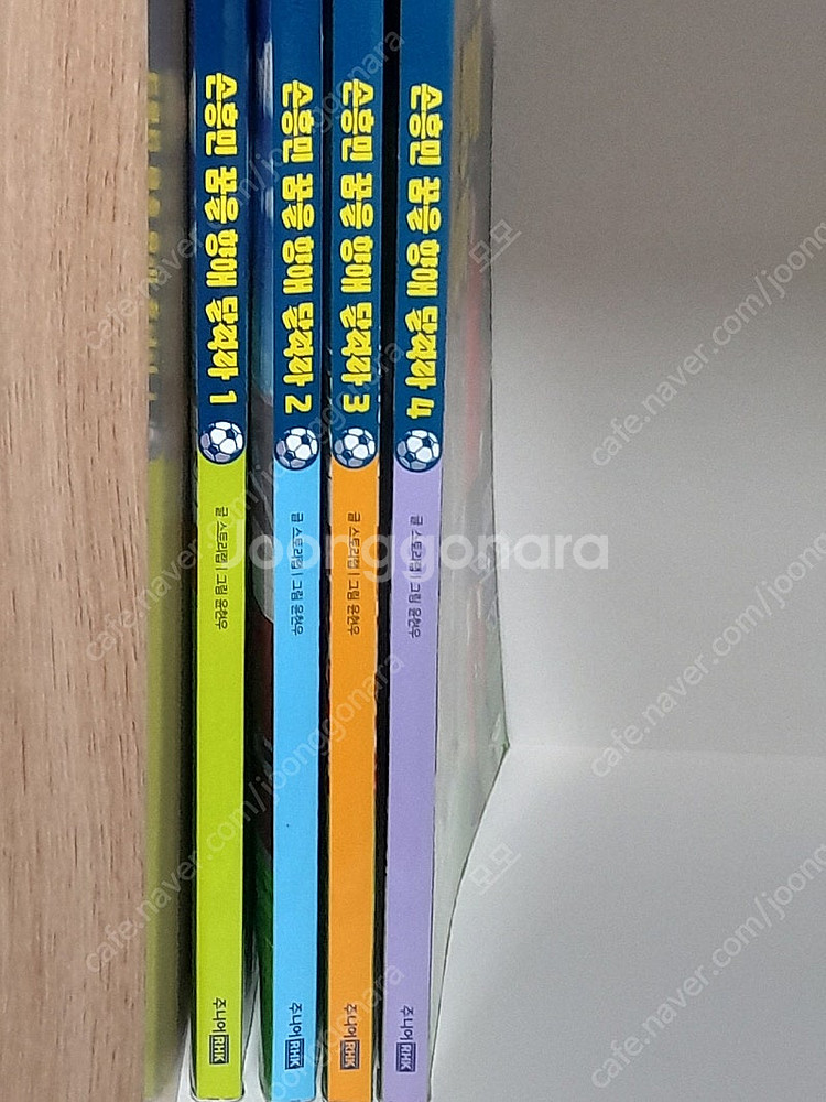 손흥민 꿈을 향해 달려라 1-4--1