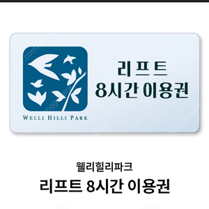 웰리힐리파크 리프트 8시간 이용권 (모바일 발송)