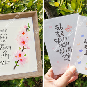 감성 수채화 & 캘리그라피로 의미있는 선물 제작해 드립니다. (손글씨 선물,켈리그라피)