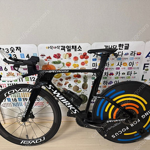 에스웍스 쉬브 TT 판매