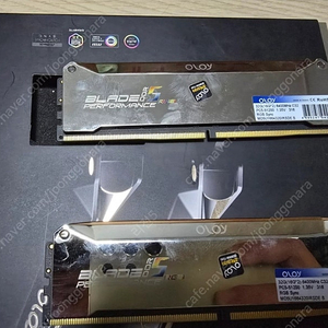 oloy ddr5 블레이드5 램 6400mhz 32GB팝니다.